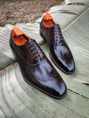 Rich Brown Wingtip Brogues